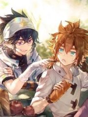蘑菇tv官方网页版永久版